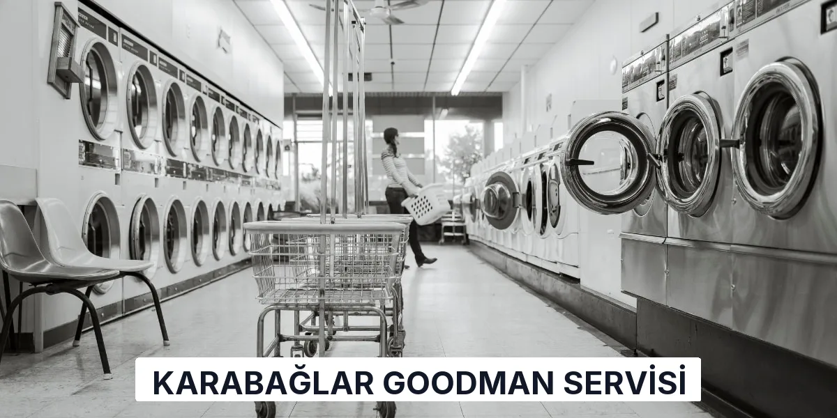 Karabağlar Goodman Servisi
