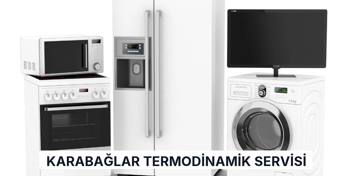 Karabağlar Termodinamik Servisi
